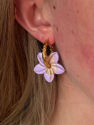 Pampilles Vaiana - Violet et Or (sans créoles)