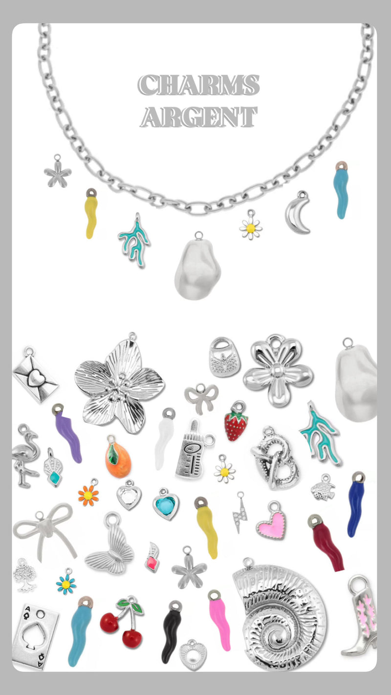 Charms à clipser - Argent (Bracelets et Colliers)