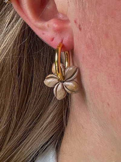 Pampilles Mini Vaiana - Marron (sans créoles)