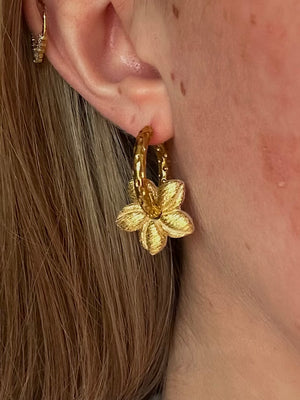 Pampilles Mini Vaiana - Or (sans créoles)