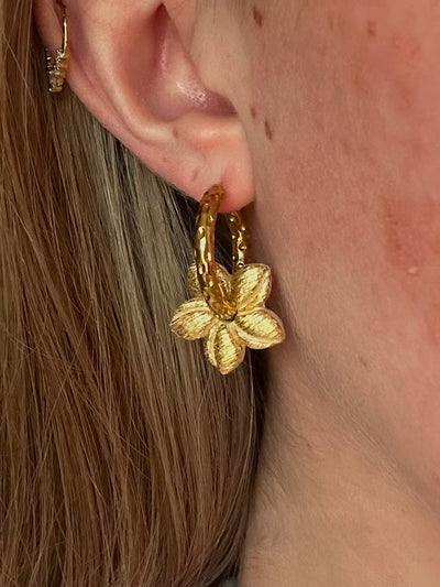 Pampilles Mini Vaiana - Or (sans créoles)