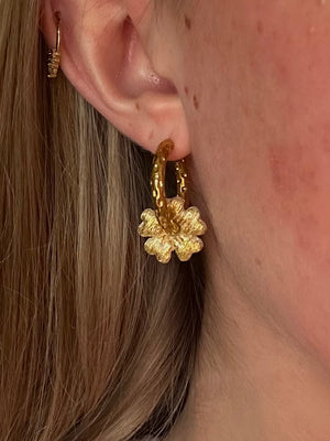 Pampilles Mimi - Or (sans créoles)