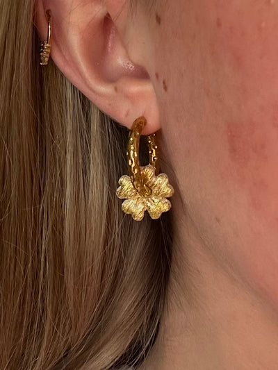 Pampilles Mimi - Or (sans créoles)